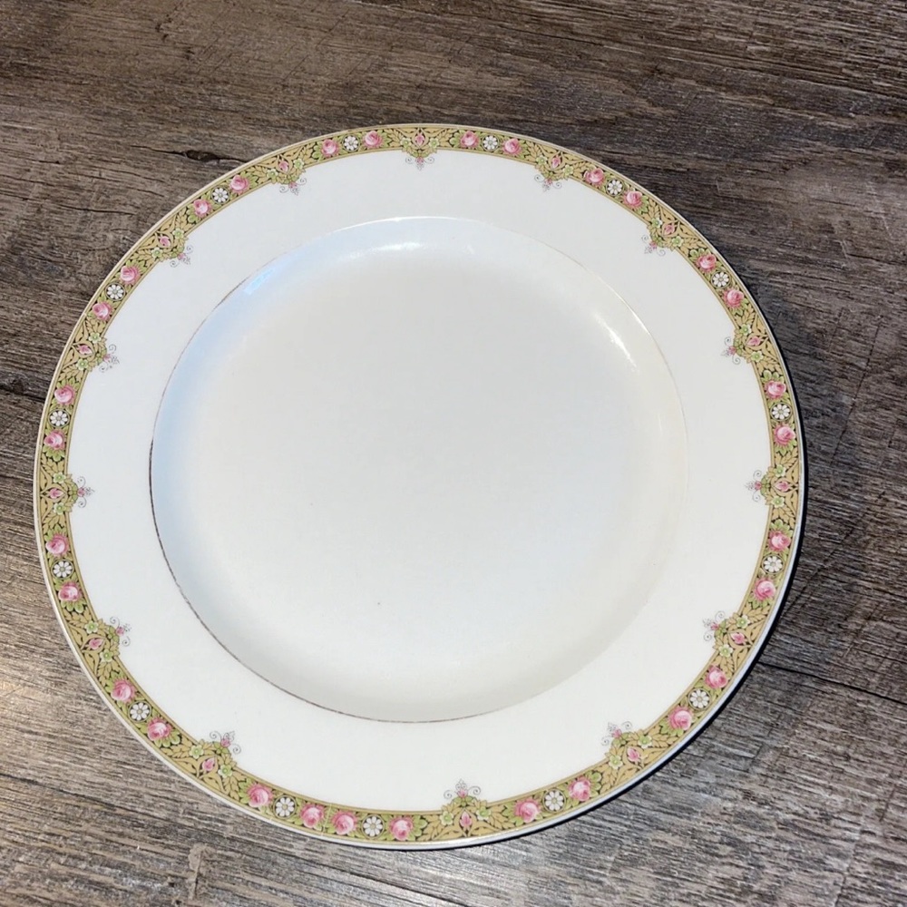 Limoges A. Lanternier France LNT39 Rose Daisies Pattern 9” Dinner Plate
